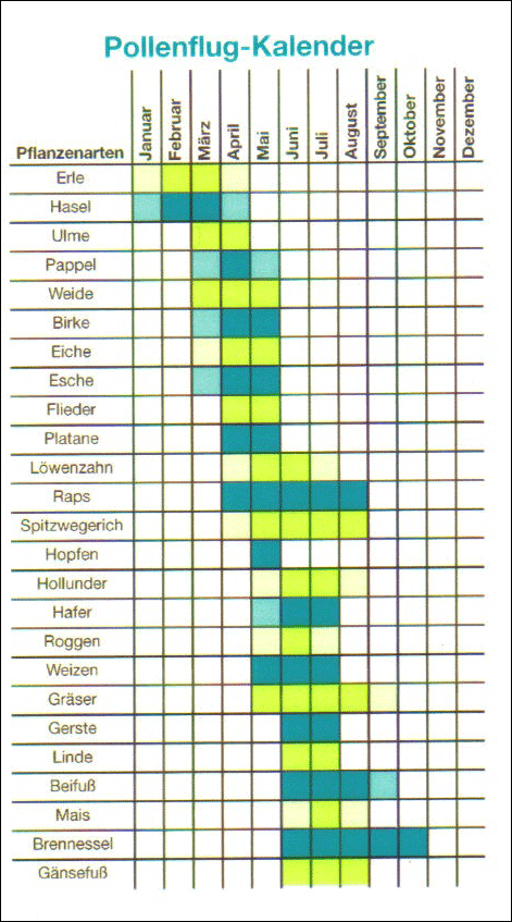 Pollenflugkalender